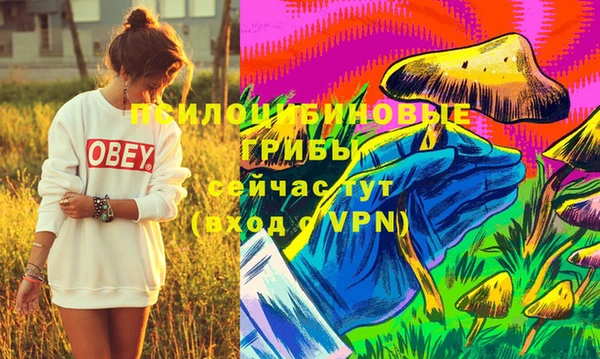 марки nbome Заводоуковск