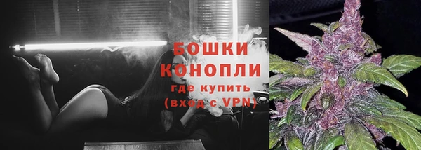 PSILOCYBIN Зерноград