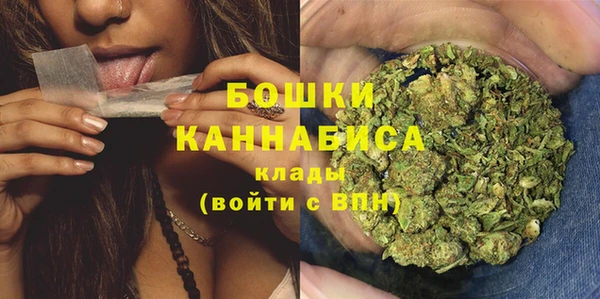 PSILOCYBIN Зерноград