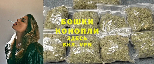 ПСИЛОЦИБИНОВЫЕ ГРИБЫ Заволжье