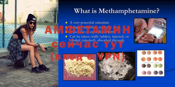 ПСИЛОЦИБИНОВЫЕ ГРИБЫ Заволжье