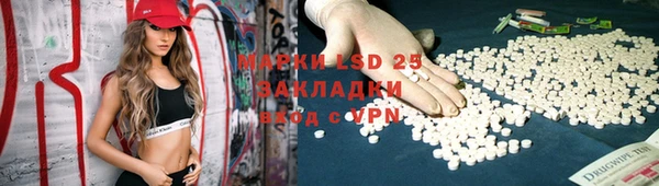 ПСИЛОЦИБИНОВЫЕ ГРИБЫ Заволжье